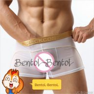 BentoL-BentoL
