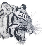 xharimau