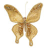 goldenbutterfly