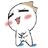 n4fsusu