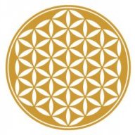 iroelifecore