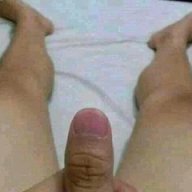Koe elek