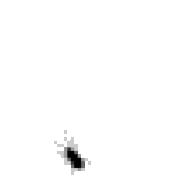 CiR2