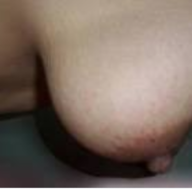 semprot_peju