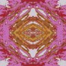 seventgod