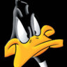 daffy duck