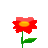 Lanimadyani