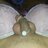 SeptySugenG36c