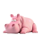 pinkhipo